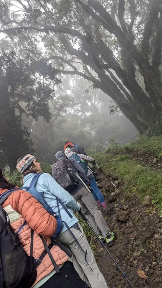 Mount Kilimanjaro trekking landscape